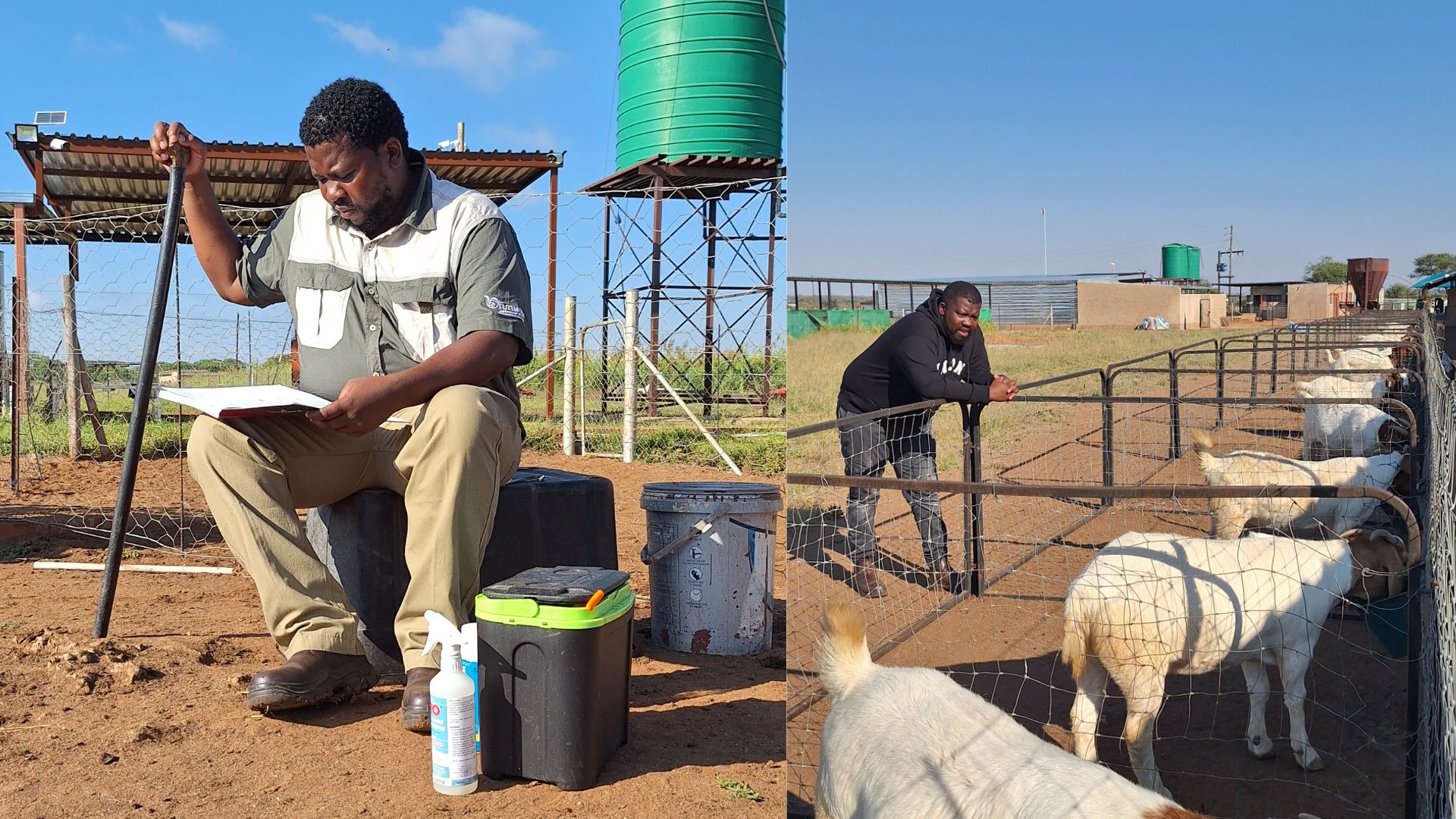 Eastern Cape scientist is breeding a better future for farmers - Food ...