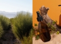 Rooibos cosmetics offer growth path for agripreneurs