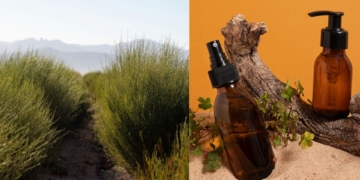 Rooibos cosmetics offer growth path for agripreneurs