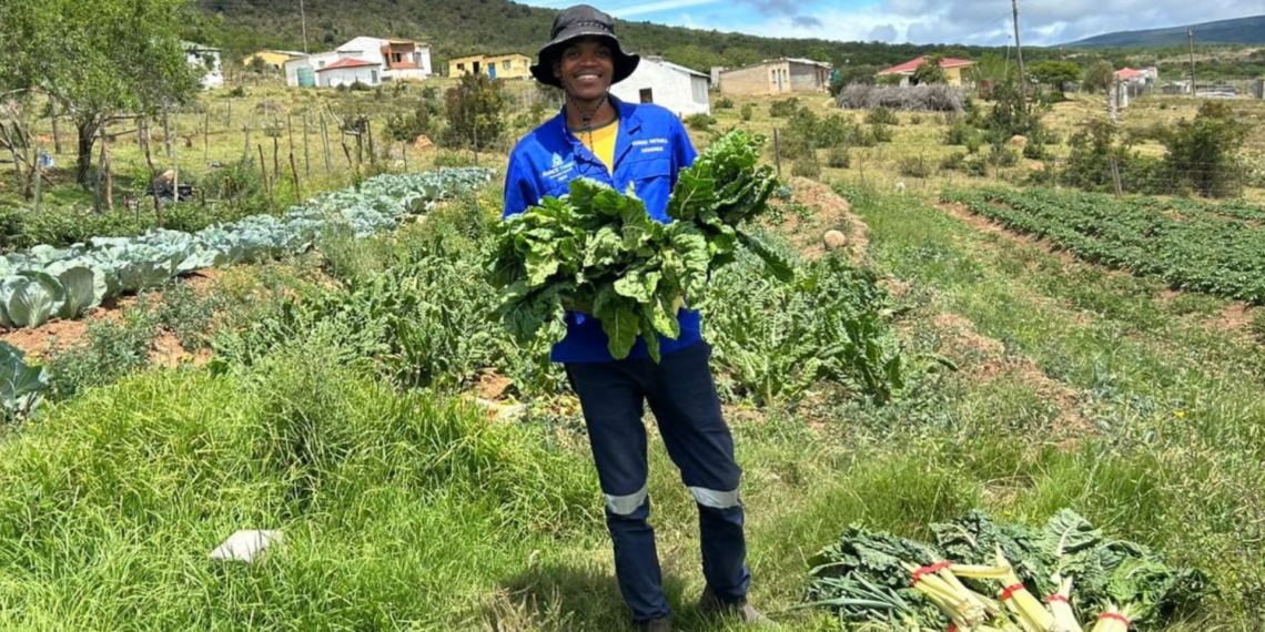 Phikolomzi Kato chose farming as a starting point after facing unemployment post-graduation, opting for a business that did not require significant capital. Photo: Supplied/Food For Mzansi