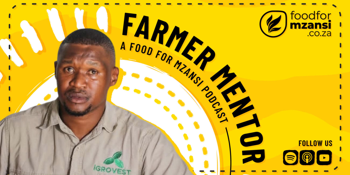 Agricultural economist and iGroVest founder Lesedi Moseki shares how he built a castor bean agribusiness from virtually nothing to 20 hectares by exploring niche crop opportunities.
Photo: Gareth Davies/ Food For Mzansi