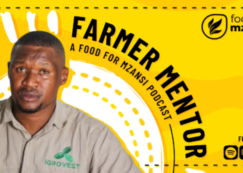 A well-oiled vision: Moseki transforms castor beans into opportunity