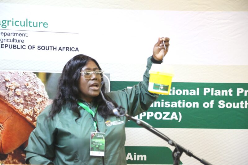 Khensani Khoza from the department of agriculture demonstrates correct fruit fly trap placement during the International Day of Plant Health activities in Mpumalanga. Photo: Supplied/Food For Mzansi
