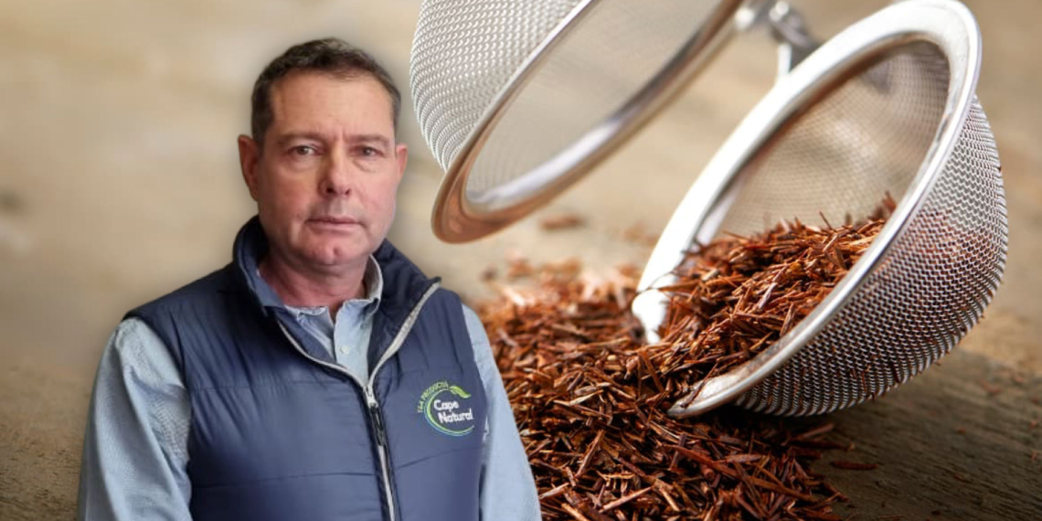 SARC director, Dawie de Villiers, unpacks what the rooibos' trade milestone means for the industry. Photo: Supplied/ Food For Mzansi