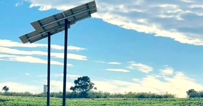 A 10-hectare expansion at Nandi Farm in Mpondoland, powered by solar irrigation, is boosting production while improving water efficiency and strengthening energy resilience on the ground Photo: Supplied/Food For Mzansi