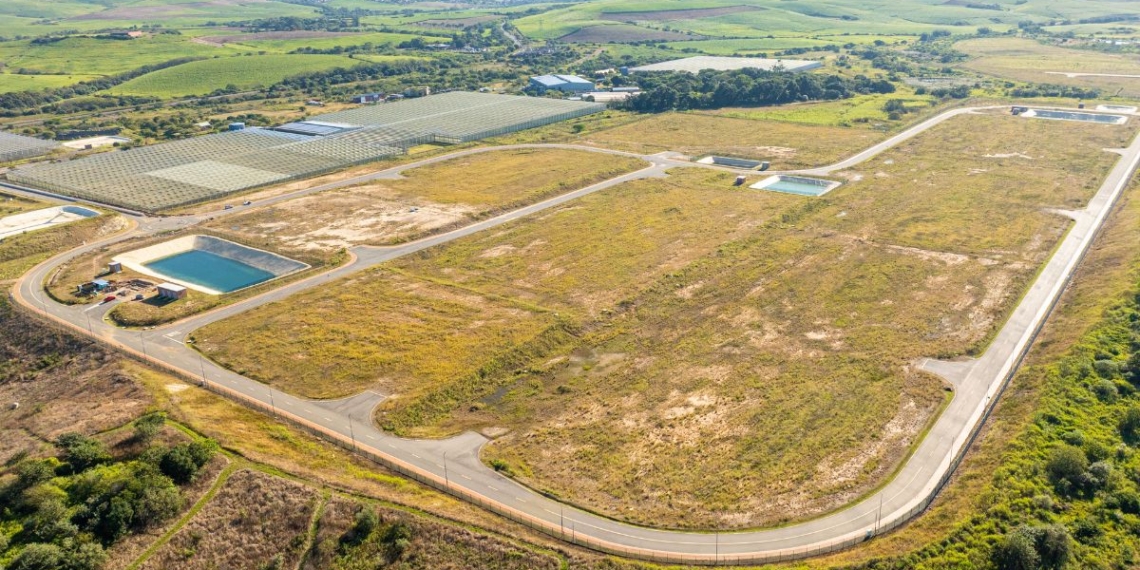 Small-scale farmers stand to benefit from new infrastructure at Dube AgriZone 2 in KwaZulu-Natal, which will provide access to packhouses, cold storage and logistics support near King Shaka International Airport. Photo: Supplied/Food For Mzansi