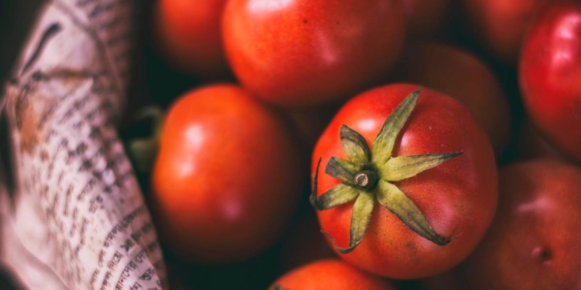 Freshly harvested tomatoes on display at a local market, highlighting ongoing discussions around tomato prices and supply dynamics in South Africa’s fresh produce value chain. Photo: Supplied/Food For Mzansi