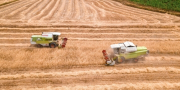 China tariff cuts boost SA farm export hopes