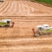 China tariff cuts boost SA farm export hopes