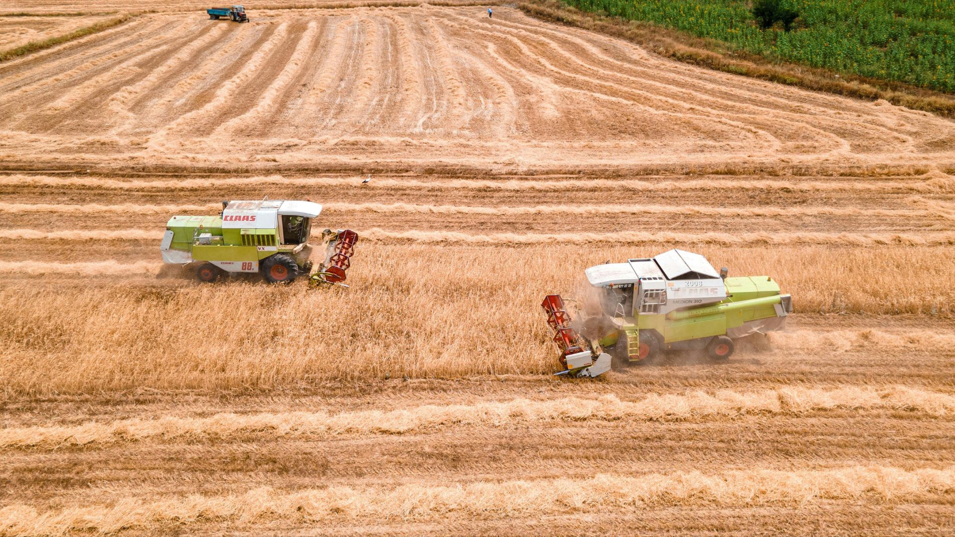 China tariff cuts boost SA farm export hopes
