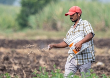 African farmers face fertiliser fallout from Gulf conflict