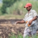 African farmers face fertiliser fallout from Gulf conflict