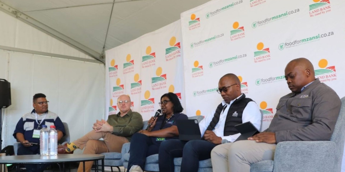 From left to right: Ivor Price, Johan Kotzé, Leona Archary, Jabu Mphambo, and Sibusiso Mabuza. Photo: Meshaan Van Wyk/Food For Mzansi
