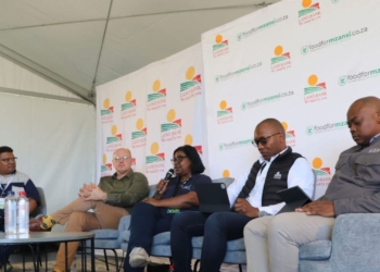 Development finance key to growing future commercial farmers