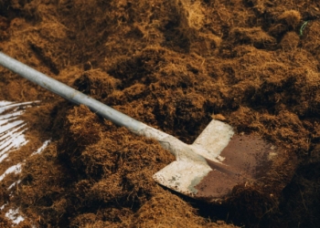 Smart growing media: Choosing the right substrate for success