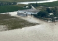 Table grape farmers call for disaster relief after Cape storms