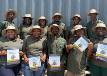 Green economy pathways offer hope for SA’s unemployed youth