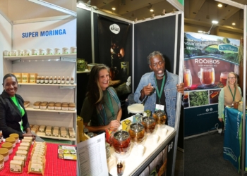 Moringa, tallow, tea: Africa’s organic pioneers drive growth