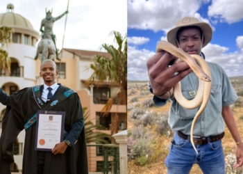 Wild at heart: Shane Ngwenya swapped fear of snakes for science