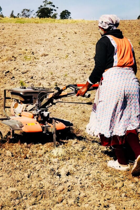 MaDlamini, a local community member involved since the start of the project, operates a Husqvarna tiller at Nandi Farm in Mpondoland, made possible through a blended finance loan facility from the Eastern Cape Development Corporation, turning access to equipment into real productivity on the ground. Photo: Supplied/Food For Mzansi