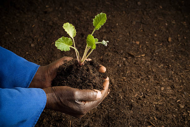 Land Bank says its discussions with National Treasury are focused on refinancing and long-term sustainability rather than a bailout, amid ongoing efforts to strengthen its funding and capital position. Photo: Supplied/Food For Mzansi