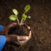 Land Bank says its discussions with National Treasury are focused on refinancing and long-term sustainability rather than a bailout, amid ongoing efforts to strengthen its funding and capital position. Photo: Supplied/Food For Mzansi