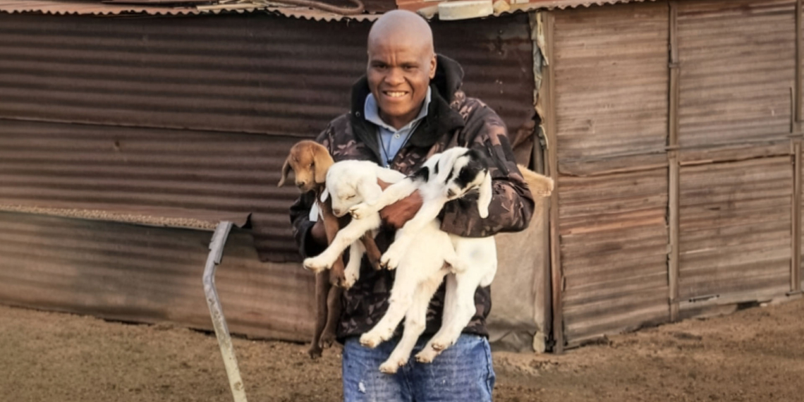 Former police officer Siphumle Nangu overcame a devastating livestock disaster to build a resilient commercial enterprise. Photo: Supplied/ Food For Mzansi