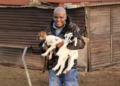 Ex-cop beats poisoning disaster to build growing livestock business