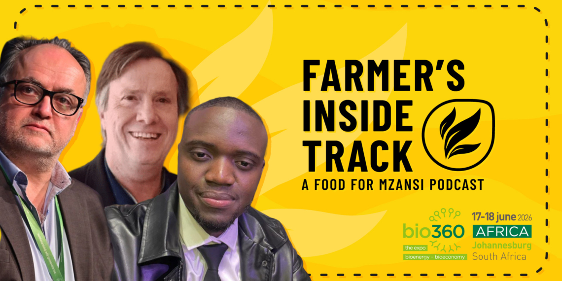 From left to right: Paul Stuart from BEES, Gordon Ayres from SABIA, and Lusani Khubana from Madam Waste unpack how local farmers can transform agricultural waste into sustainable bioenergy solutions. Photo: Gareth Davies/Food For Mzansi