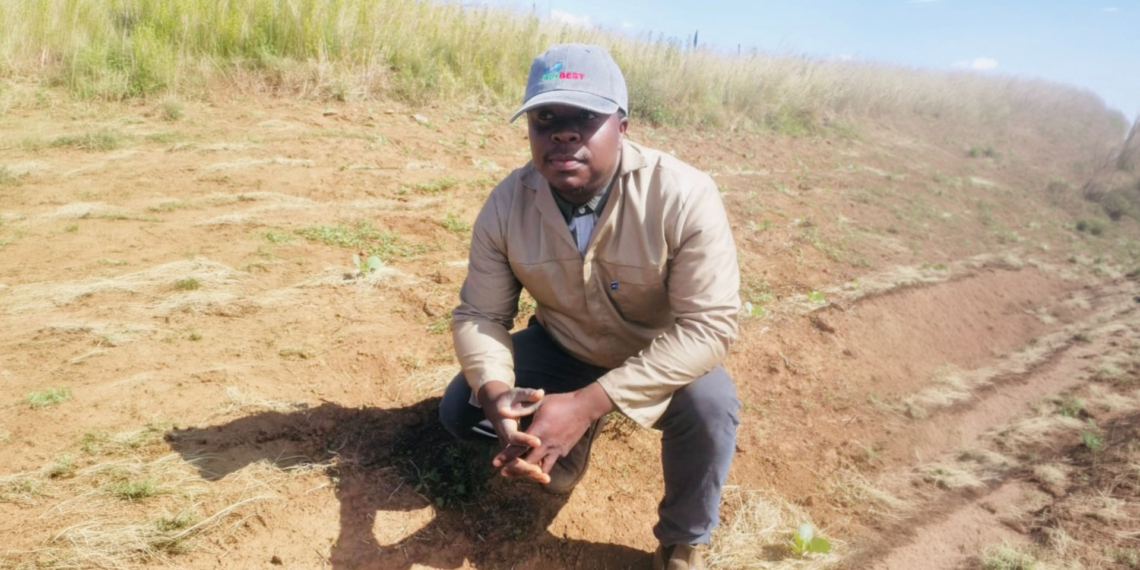 Luyolo Mfenqa, founder of Co Sokwenzeka Farming & Projects, left his government job to pursue full-time commercial farming in ePhepheni village. Photo: Supplied/ Food For Mzansi
