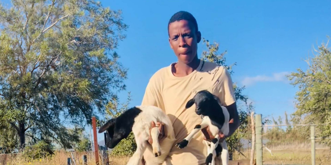 Molatelo Morena is the founder of S.S Moepathutse in Sekiding village, Bochum, Limpopo. Photo: Gareth Davies/ Food For Mzansi