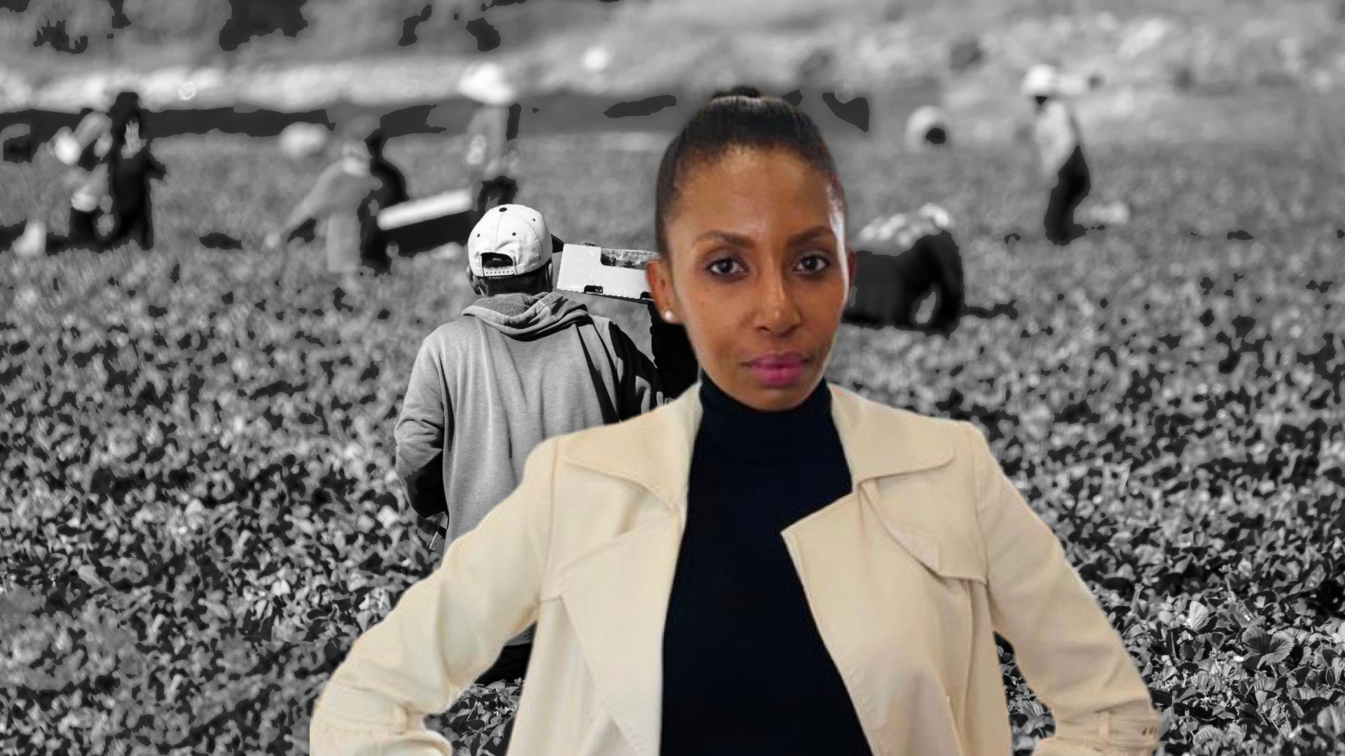 Labour crackdown: Farmers face rising risks over illegal workers