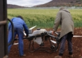 As technologies such as drones, soil sensors, artificial intelligence, automation and digital record-keeping become more accessible, South African farmers are being encouraged to adopt agritech. Photo: Pexels
