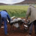 Smart farming: 8 practical tips to adopt agritech today