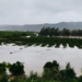 CGA warns of lower citrus exports after devastating storms