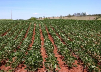 This week’s agri events: 22 – 26 June