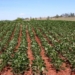 This week’s agri events: 22 – 26 June
