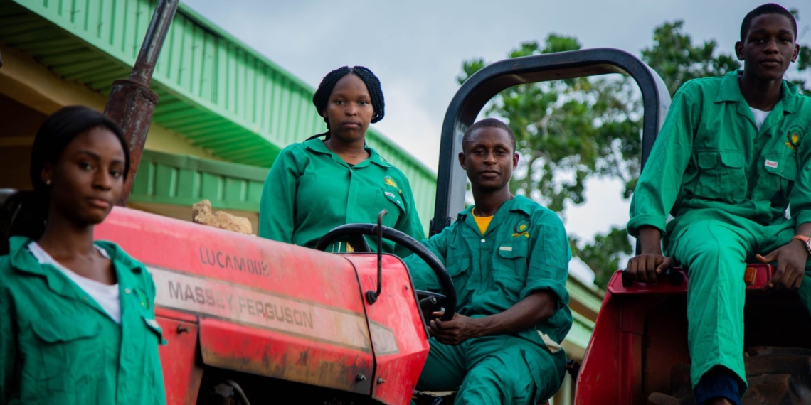 Land Bank has urged young people to take up opportunities offered by the bank to upskill themselves and upscale agribusinesses. Photo: Pexels