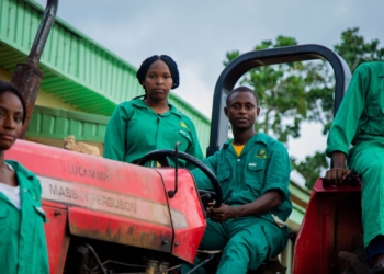 Land Bank urges greater youth participation in agriculture