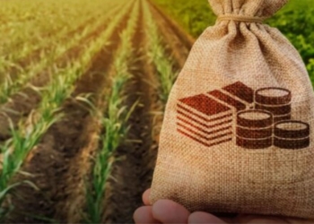 Climate-smart farming offers path to long-term resilience