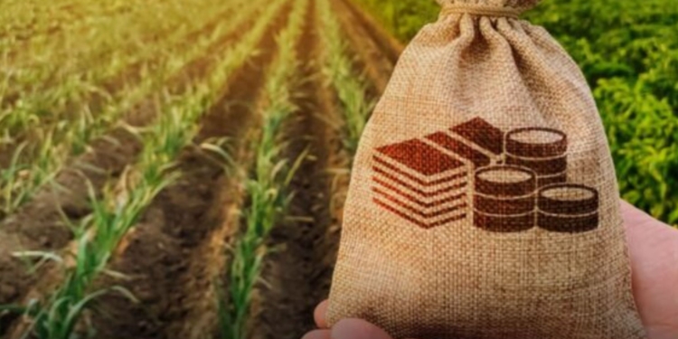 The resilience of the agricultural sector has improved in the third quarter of 2026. Photo: Food For Mzansi