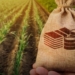Climate-smart farming offers path to long-term resilience