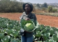 Simangele turns school lease into retail-supplying agribusiness