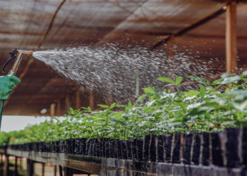This week’s agri events: 29 June – 03 July