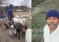 No land? No problem: Secunda farmer turns old dumping site green