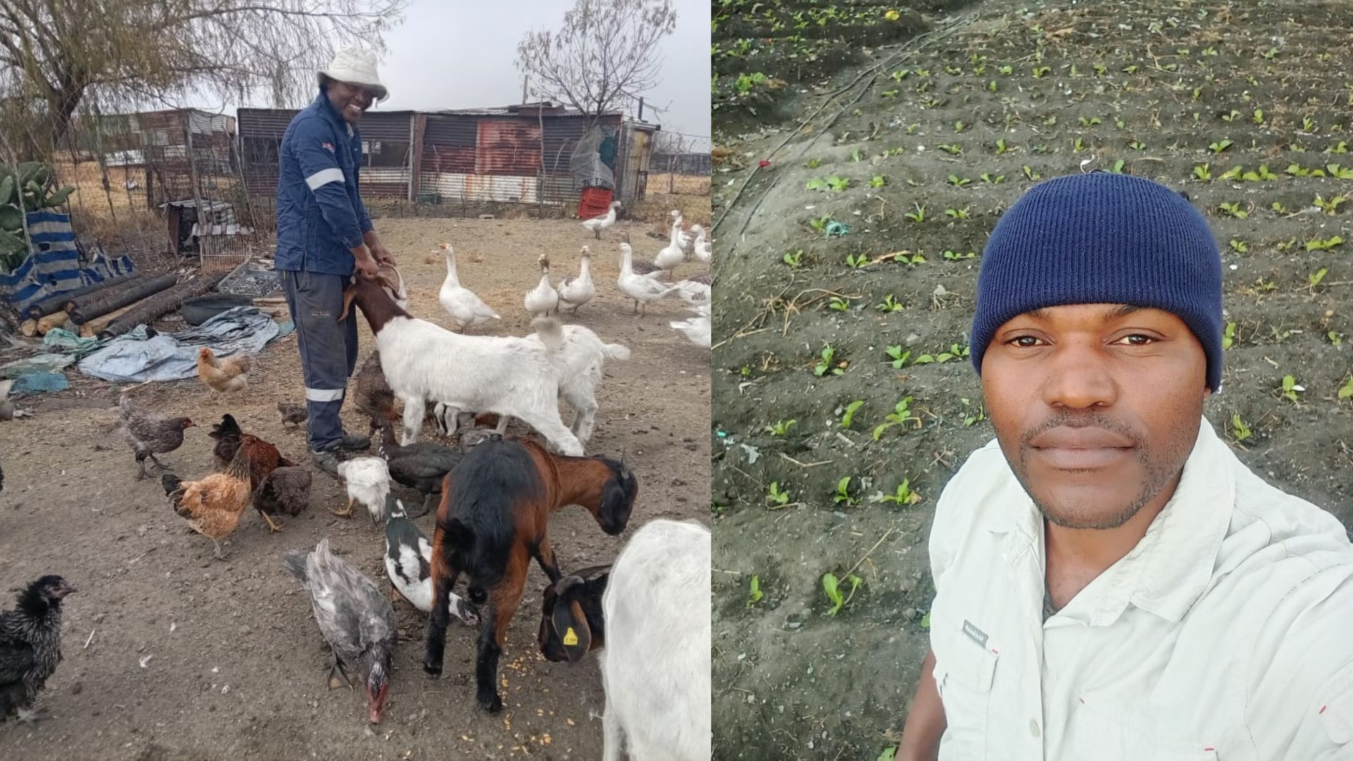 No land? No problem: Secunda farmer turns old dumping site green
