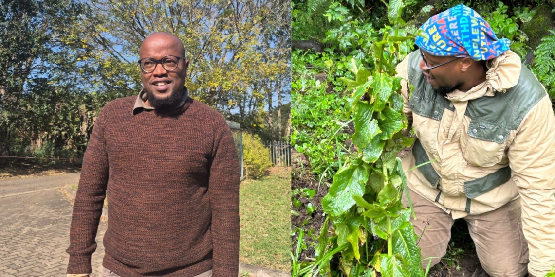 Senior horticulturist Lungisani Zondi, whose journey from the rural landscapes of Impendle to botanical research bridges the gap between ancestral knowledge and modern plant science.
Photos: Supplied/Food For Mzansi