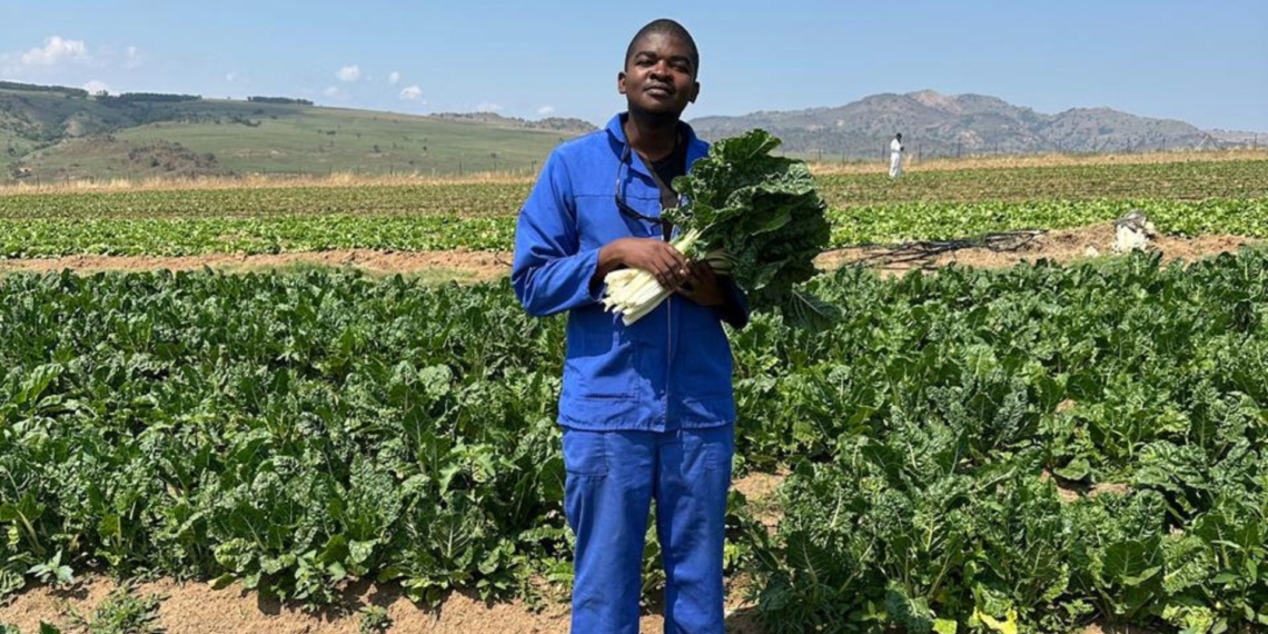 Mpumalanga farmer Mfanzile Maseko survived a business-threatening car accident, corporate relocation, and market struggles to build a thriving diversified farm. Photo: Supplied/Food For Mzansi