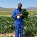 Engineer Mfanzile Maseko takes leap of faith into full-time farming