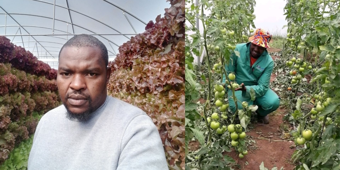 Soweto's Katiso Nkoanyane turned to backyard hydroponics out of necessity after facing a tough job market following his graduation in agricultural management.
Photos: Supplied/Food For Mzansi
